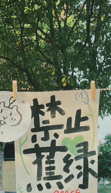 绿色壁纸大赏 护眼又治愈的视觉SPA来啦