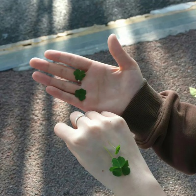 1751261204602448.jpg 11.jpg