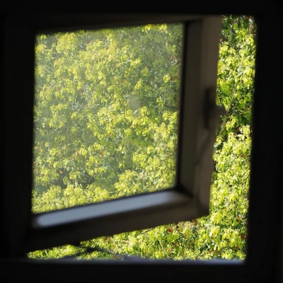 1752542699723609.jpg 640 (1).jpg