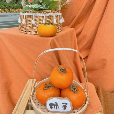 1758003057158567.jpg 二十四节气·秋分_3_不勤劳的蜜蜂_来自小红书网页版.jpg
