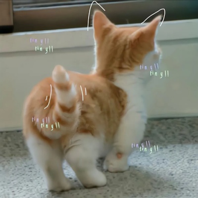 1758088465181312.jpg 3.jpg